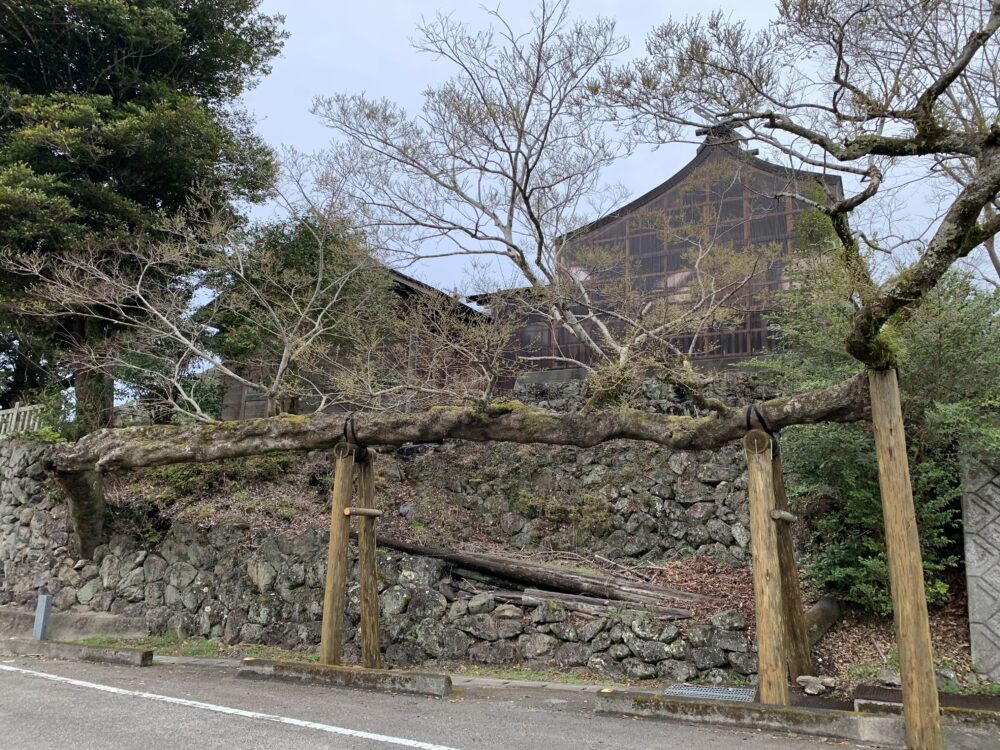 海津見神社（竜神のエノキ）