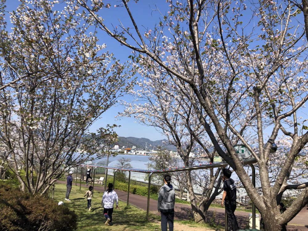 桜づつみ公園