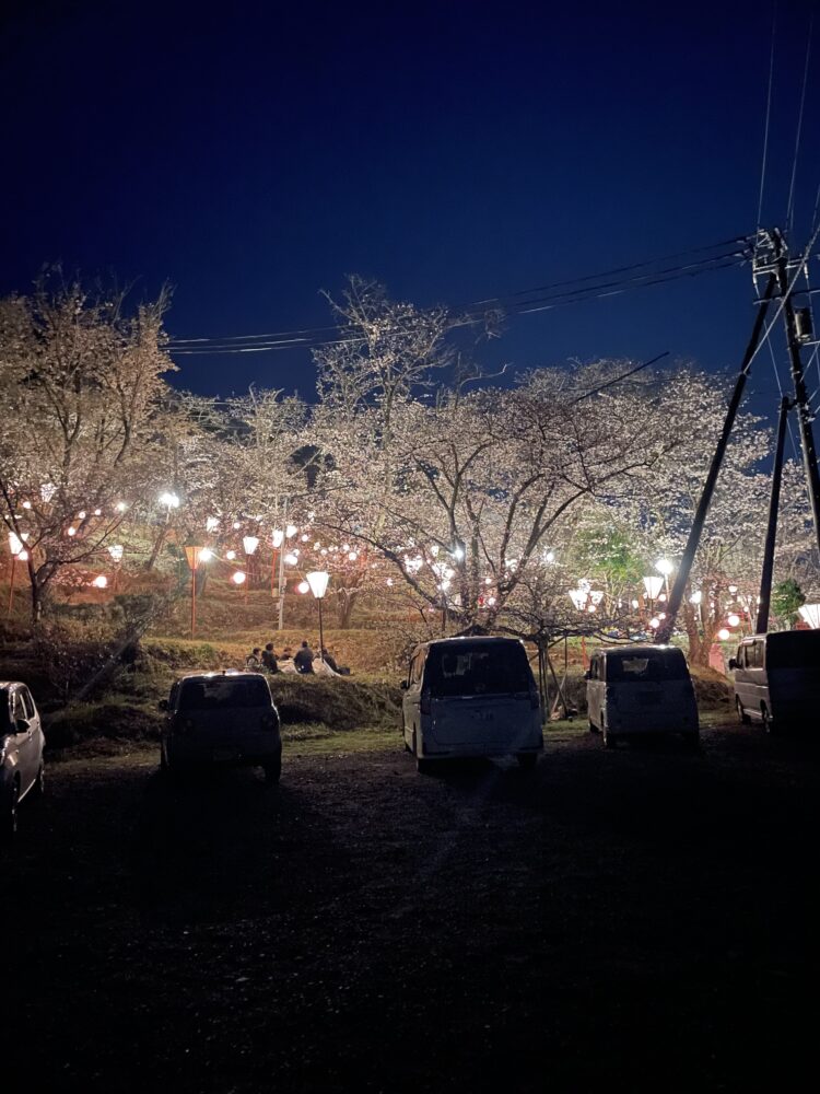 桜の広場