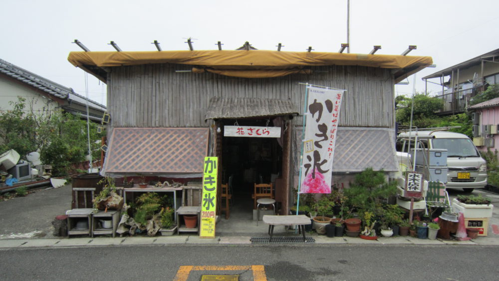 花ざくら