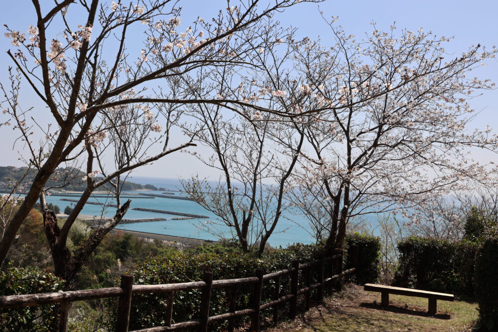 高知県立月見山こどもの森